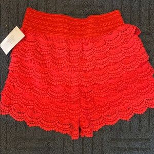 Boutique lace shorts